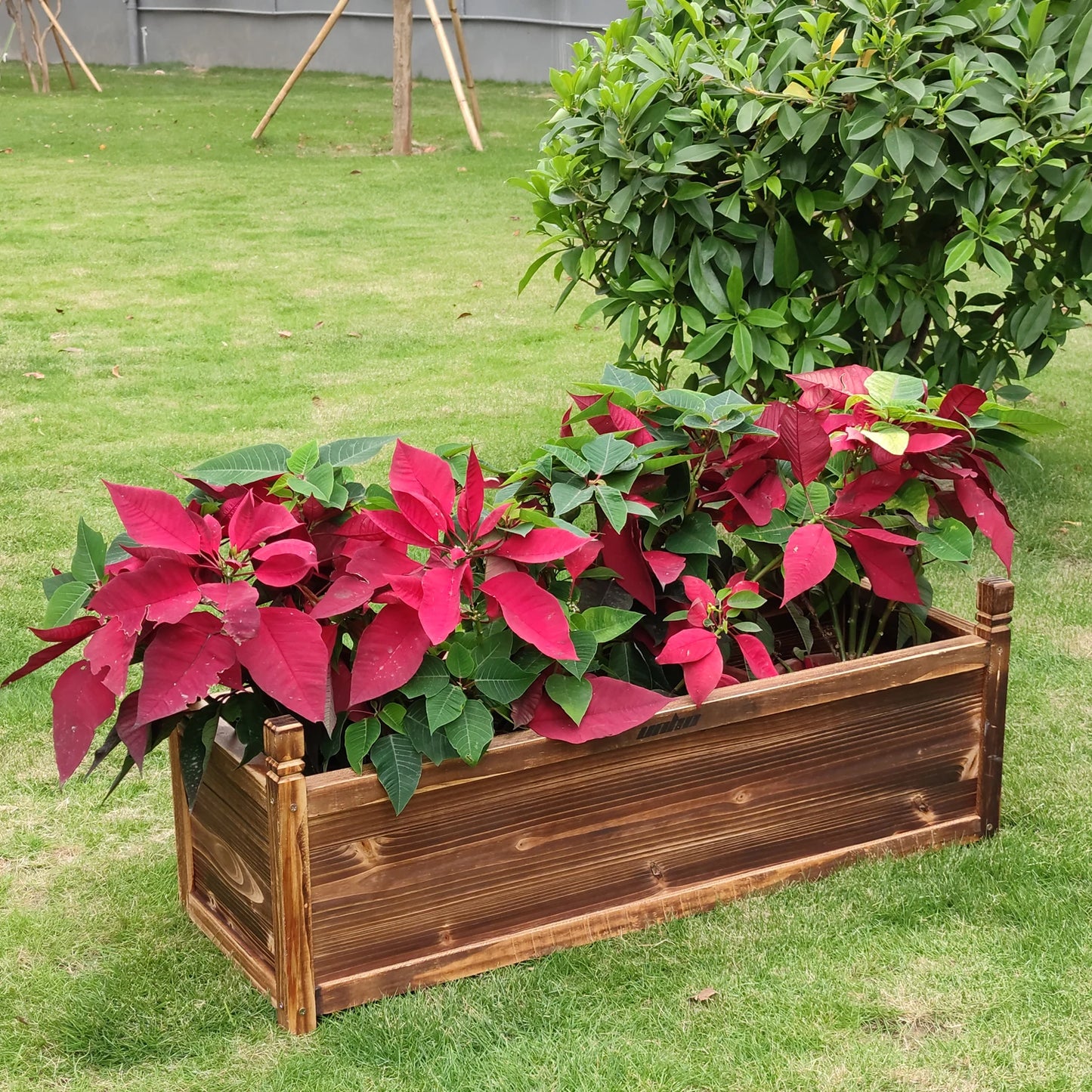 Raised Garden Bed Planter Wood Window Box For Flowers And Vegetables