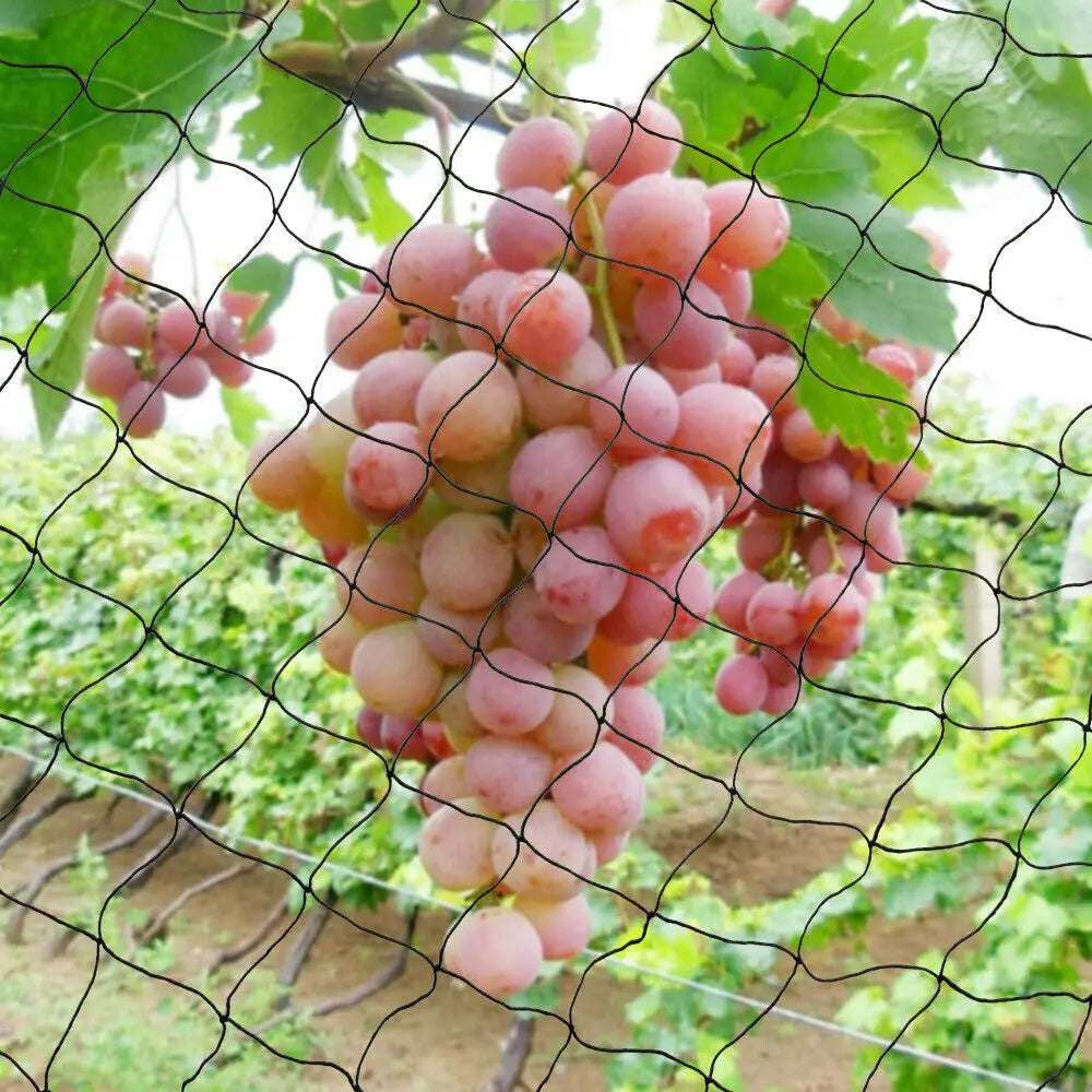 Heavy Duty Nylon Bird Netting For Gardens Protecting Fruit Trees