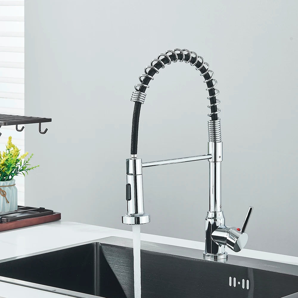 Suguword Removable Kitchen Faucet Deck Mount with Sprayer Dual Modes