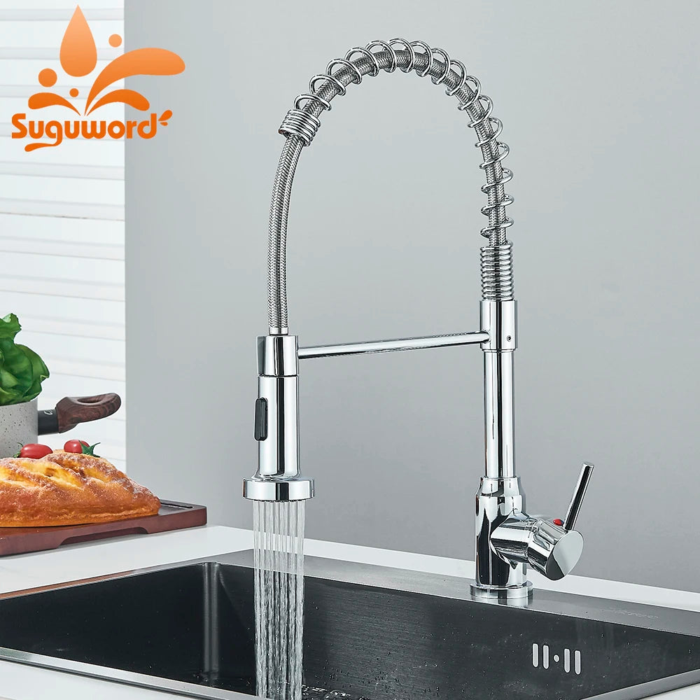 Suguword Removable Kitchen Faucet Deck Mount with Sprayer Dual Modes